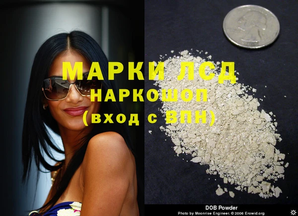 ГАЛЛЮЦИНОГЕННЫЕ ГРИБЫ Баксан