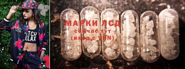 гидра Белоозёрский